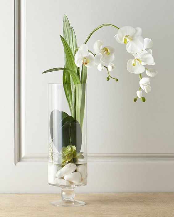 Vaso de orquídea de vidro