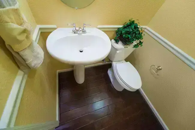 A decoração do banheiro social fica ainda mais especial na presença de plantas