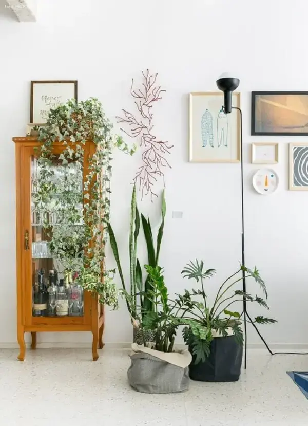 Cristaleira rústica pequena e vasos de plantas decoram o ambiente da casa