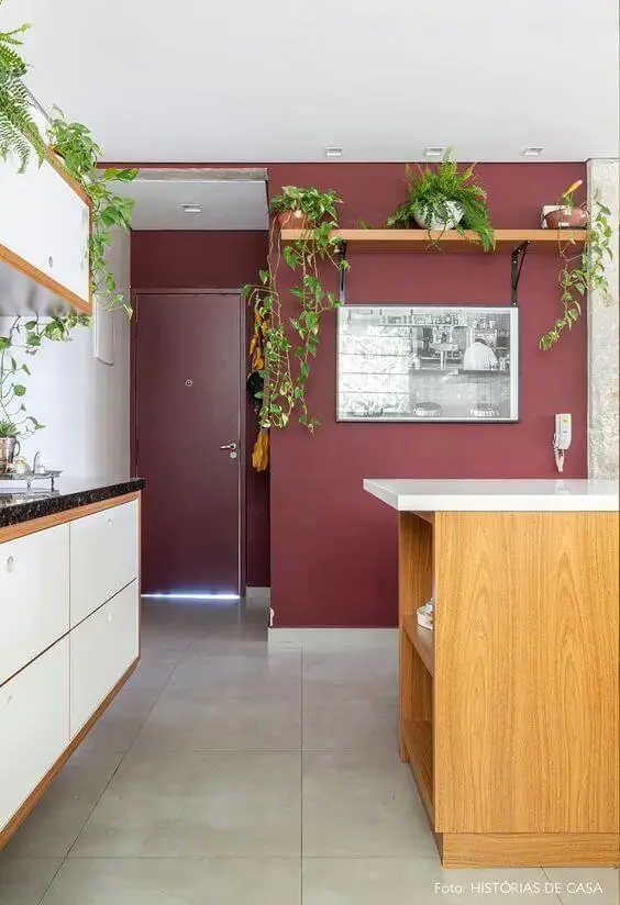 Parede cor vinho na cozinha moderna decorada com plantas