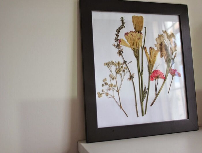 As pétalas de flores podem ficar expostas no ambiente dentro de quadros personalizados. Fonte: Blog Giuliana Flores