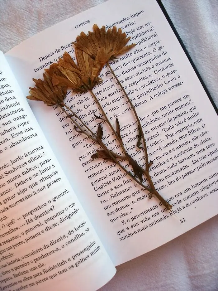 As pétalas de flores podem ficar mais conservadas a partir da técnica de prensagem em papel. Fonte: Blog Giuliana Flores