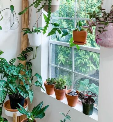 Nunca é demais trazer mais plantas para a decoração da janela. Fonte: ApkGK