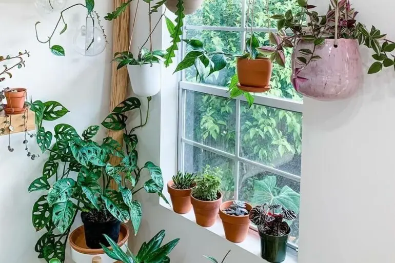 Nunca é demais trazer mais plantas para a decoração da janela. Fonte: ApkGK