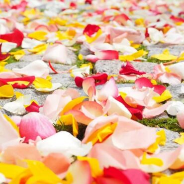 Saiba como decorar com pétalas de flores. Fonte: Pixabay