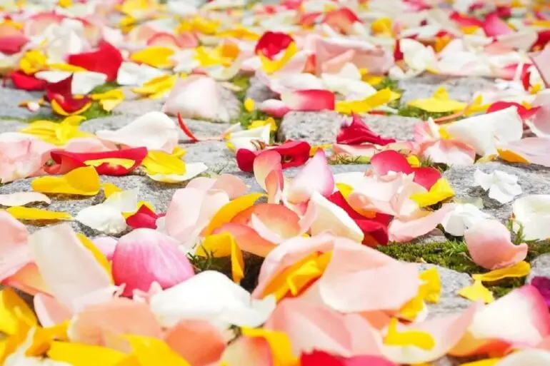 Saiba como decorar com pétalas de flores. Fonte: Pixabay