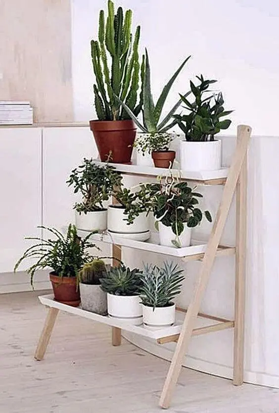 Mini estante para plantas
