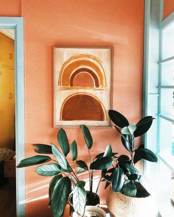 Tinta cor pêssego para parede com vaso de plantas