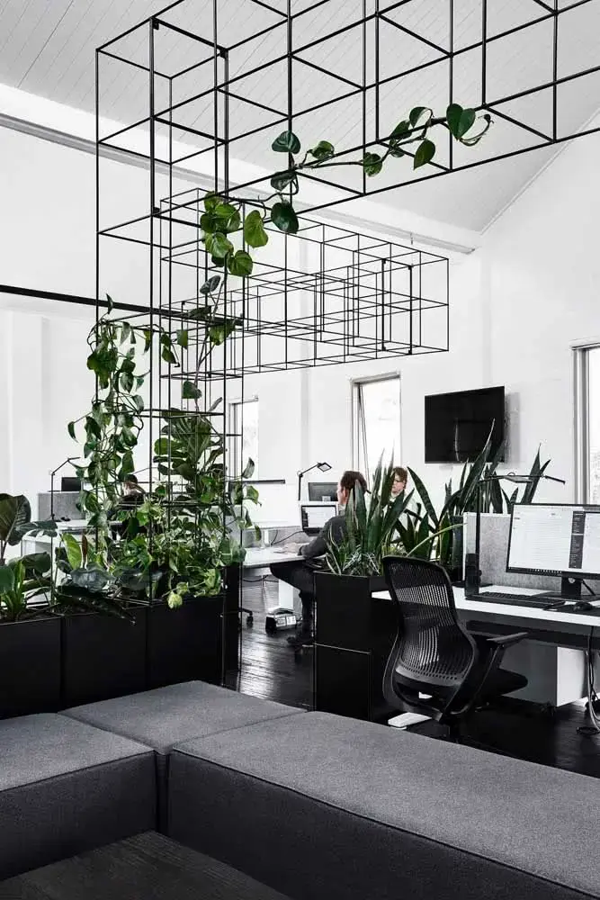 Divisórias para escritório com estante de ferro com plantas e móveis pretos