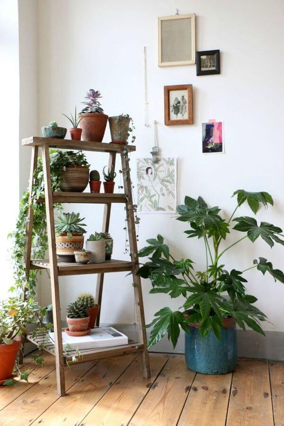 Estante cavalete decorada com plantas na sala de estar boho