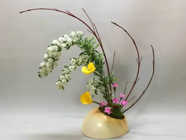 Ikebana delicada para decoração moderna