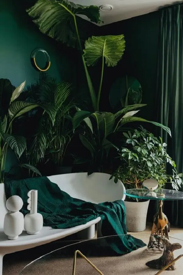 Plantas para decoração cor verde de sala com sofá branco moderno