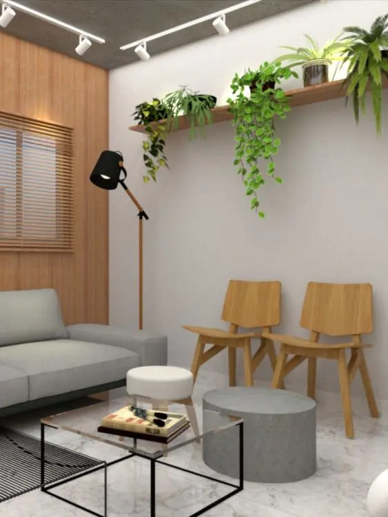 Sala de espera para escritório com cadeira de madeira e plantas
