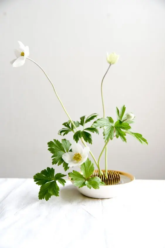 Vaso branco com ikebana na decoração minimalista
