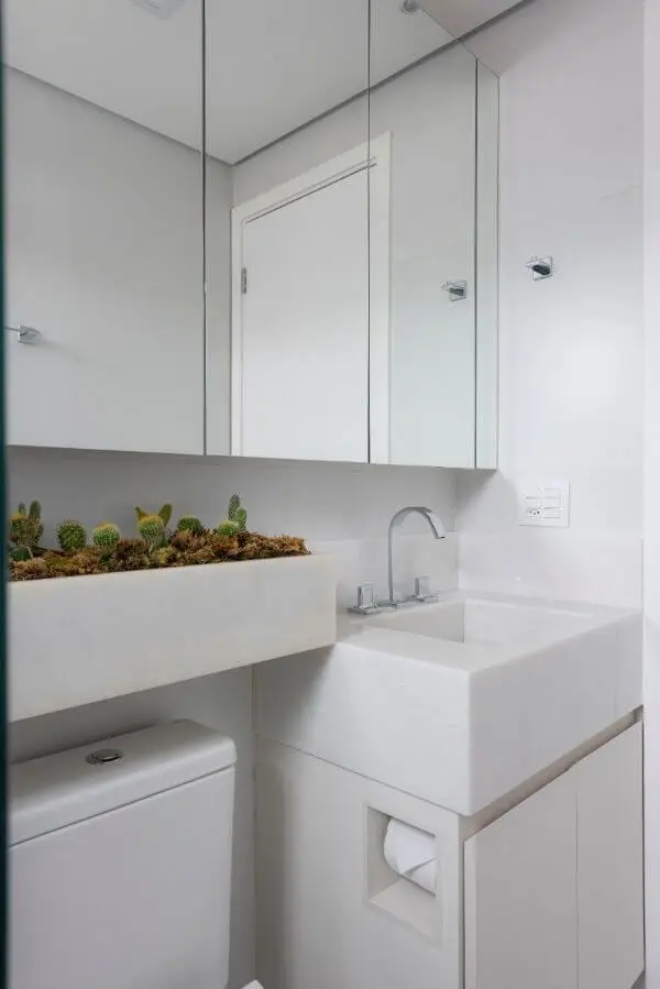 Banheiro com bancada de quartzo e espaço para plantas suculentas