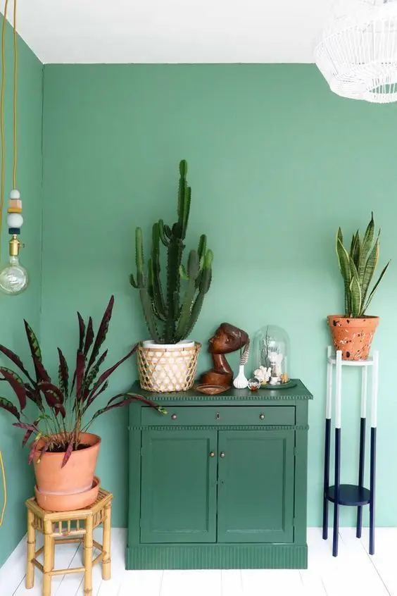 Cores de tinta para sala em verde claro com decoração de plantas e vasos