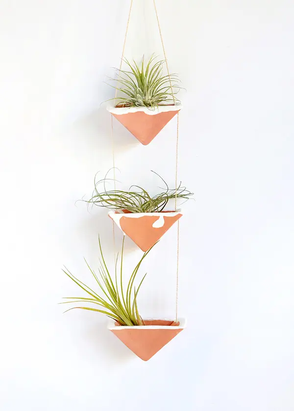 Decoração criativa com air plantas no vaso de cerâmica