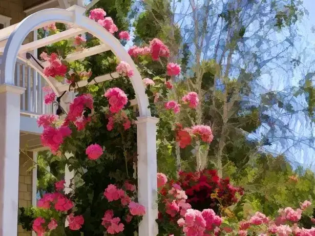 Jardim decorado com flores de gerânio rosa 