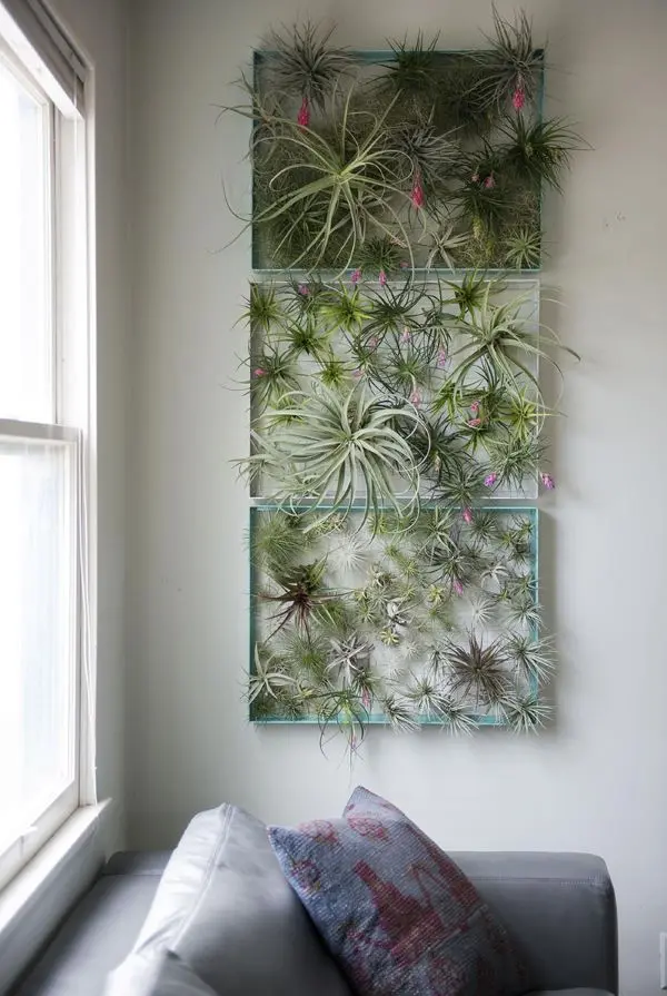 Jardim vertical com plantas aéreas na sala de estar