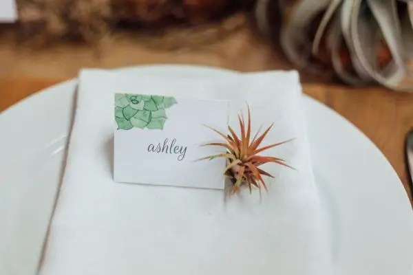 Plantas aéreas na decoração da mesa de jantar