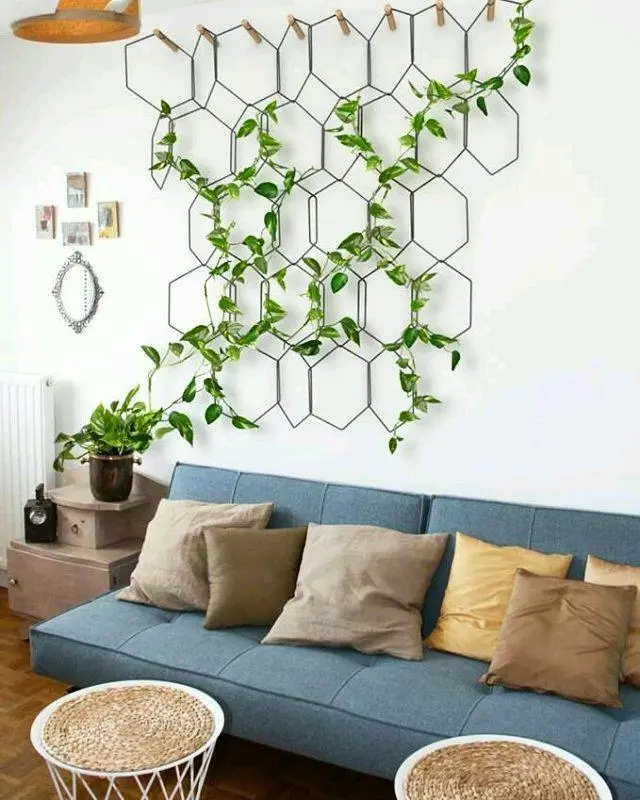 Sala de estar decorada com plantas aéreas do tipo trepadeira