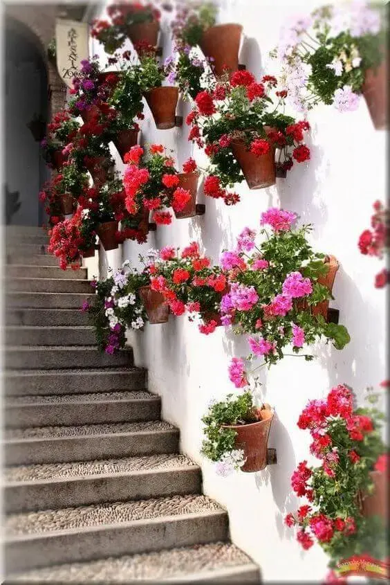 Vaso de parede decorada com flores gerânio