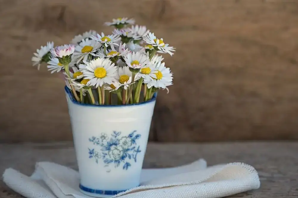 Decoração de primavera: margaridas são flores delicadas que podem compor vasos, cestas e buquês. Fonte: Pixabay