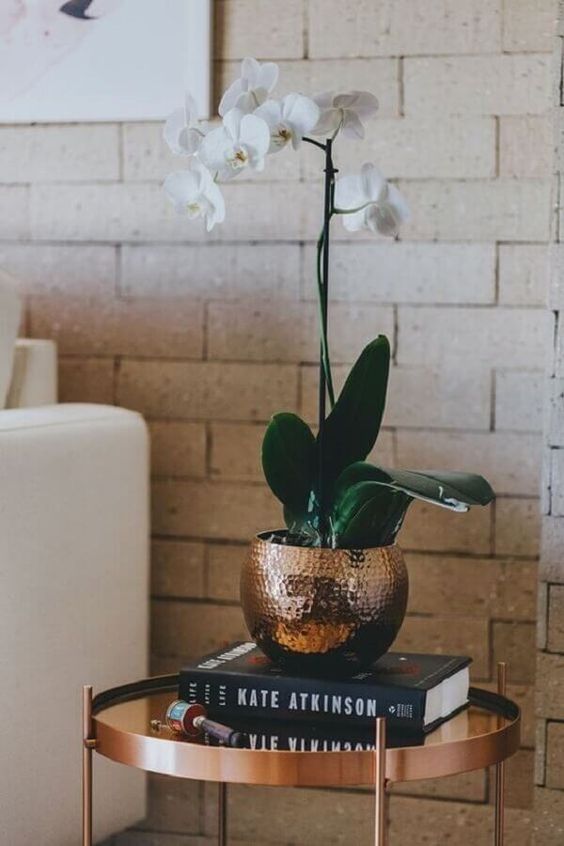 Vaso de orquídea na decoração de sala moderna