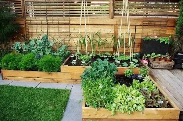 Aproveite a área externa simples e monte uma horta deliciosa. Fonte: Greenk