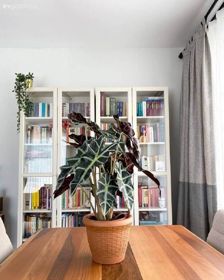 Armário para livros com porta de vidro para decoração de sala de jantar com mesa de madeira Foto EV Gezmesi
