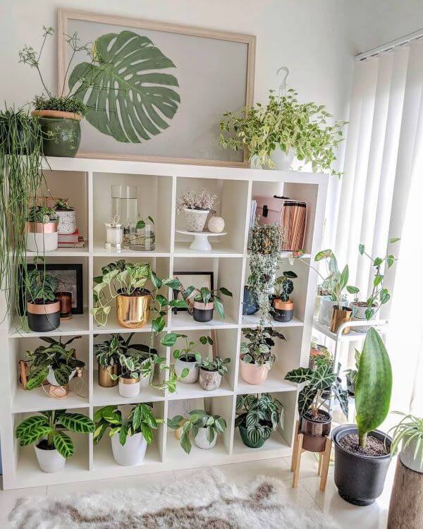 Sala de estar boho com estante cheia de plantas