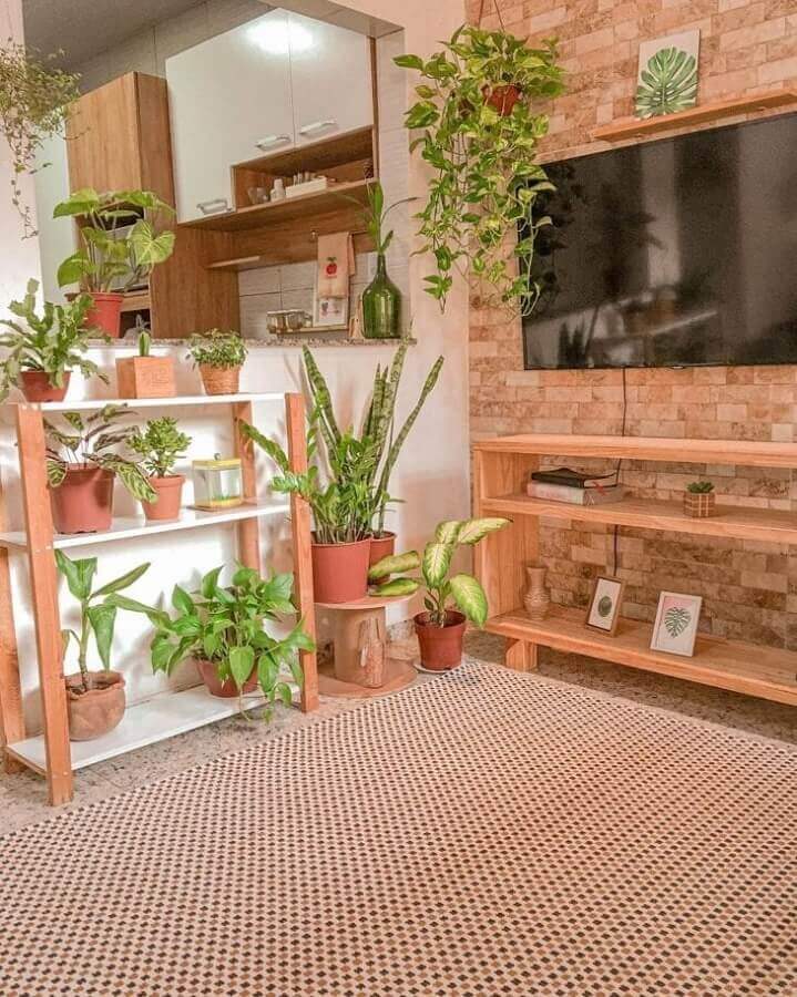  Vasos de plantas para decoração de sala de TV rustica e simples Foto Casa 41