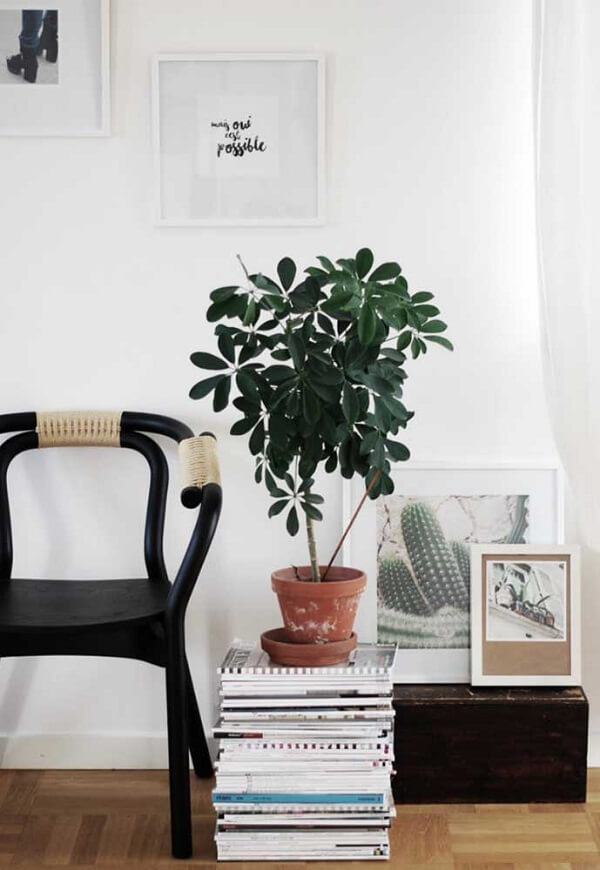 Pilha de revistas com vaso de cheflera flor na decoracao de sala de estar preta e branca