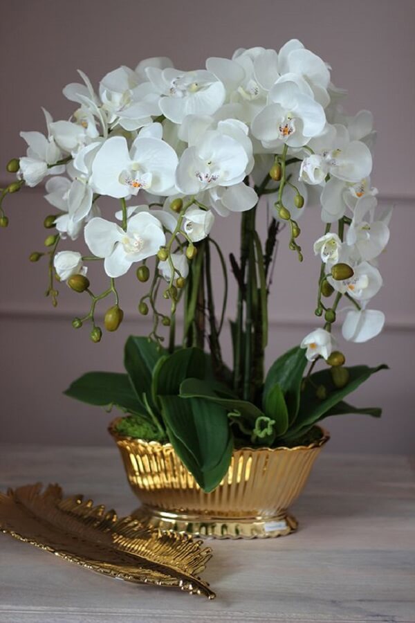 Vaso cor dourada para orquídeas brancas
