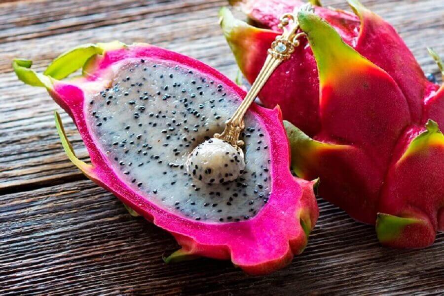 Aprenda como plantar pitaya em casa. Fonte SPDM