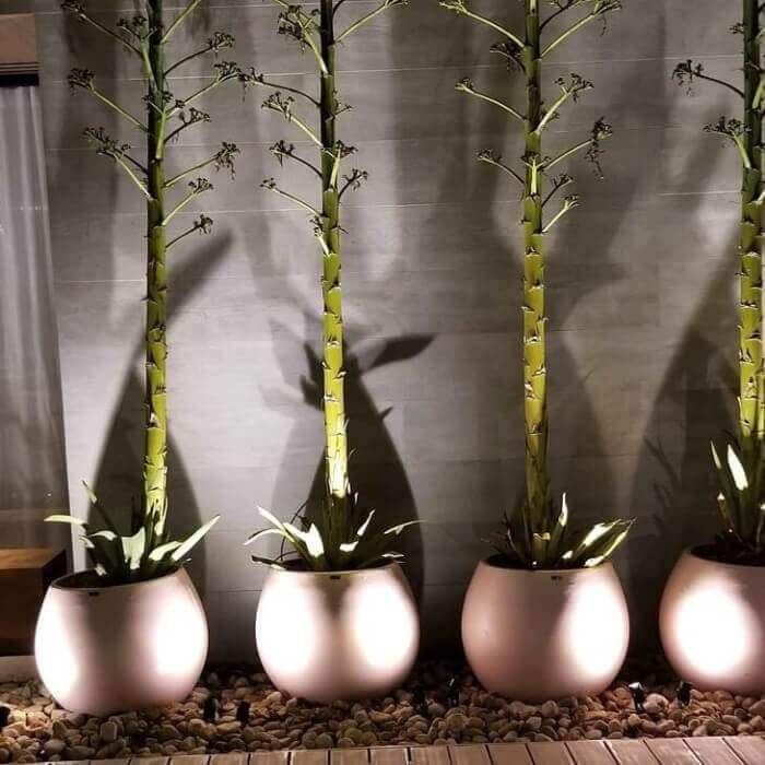 Os vasos podem ganhar um destaque especial com luz de LED para jardim. Fonte: IT Iluminação