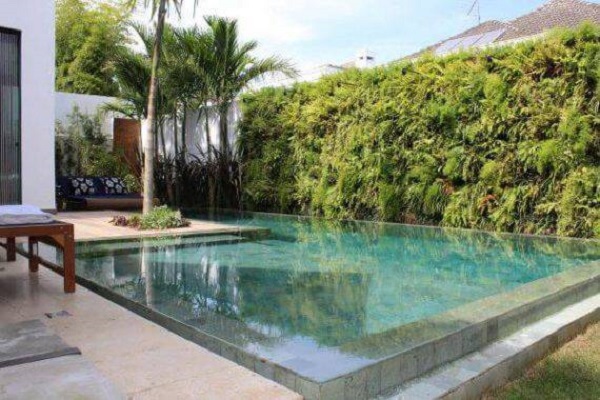 Quintal pequena decorado com muro de plantas e piscinas modernas