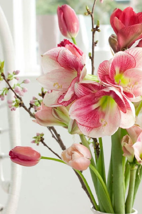 Vaso com flores amarilis e tulipas cor de rosa