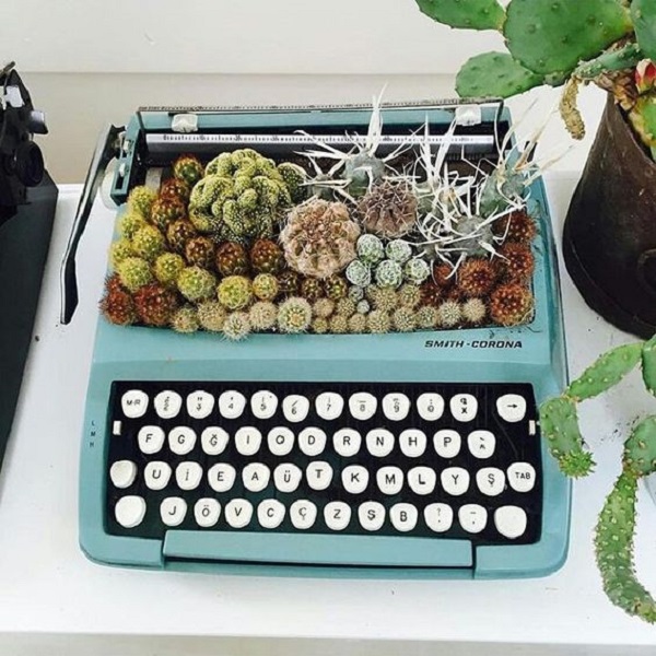 Máquina de escrever com mini cactos