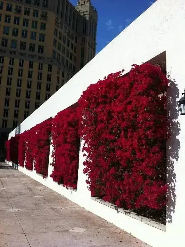As flores do jardim vertical externo sol pleno se destacam na parede branca. Fonte: Só Decor