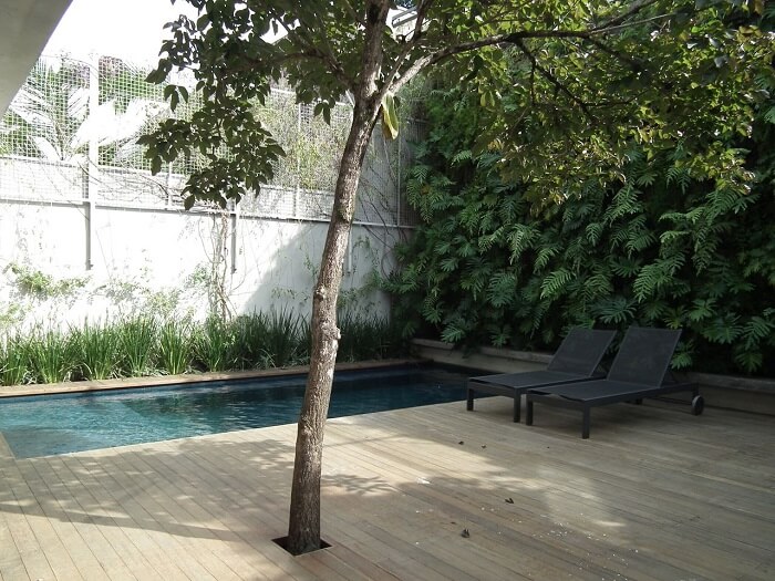 Área de lazer com parede de plantas e piscina retangular