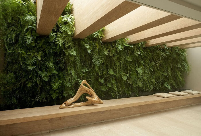 Banco de madeira e parede de plantas