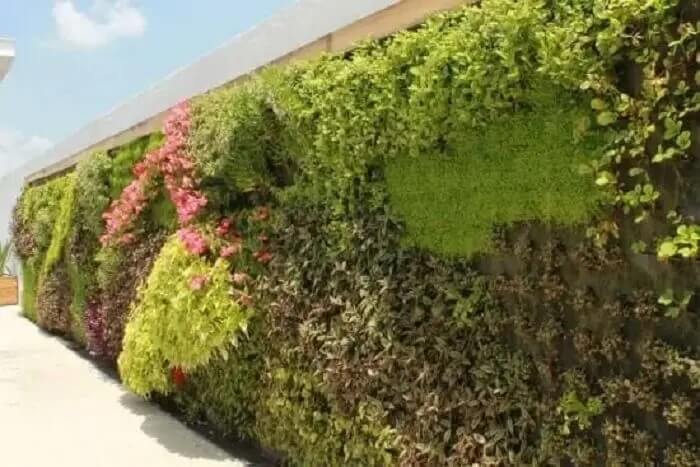 Crie uma linda parede de plantas naturais na fachada do imóvel.