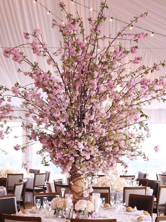 Flor de cerejeira na mesa de festa