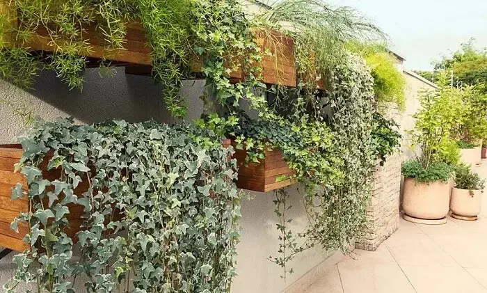 Área externa com vasos de parede para plantas