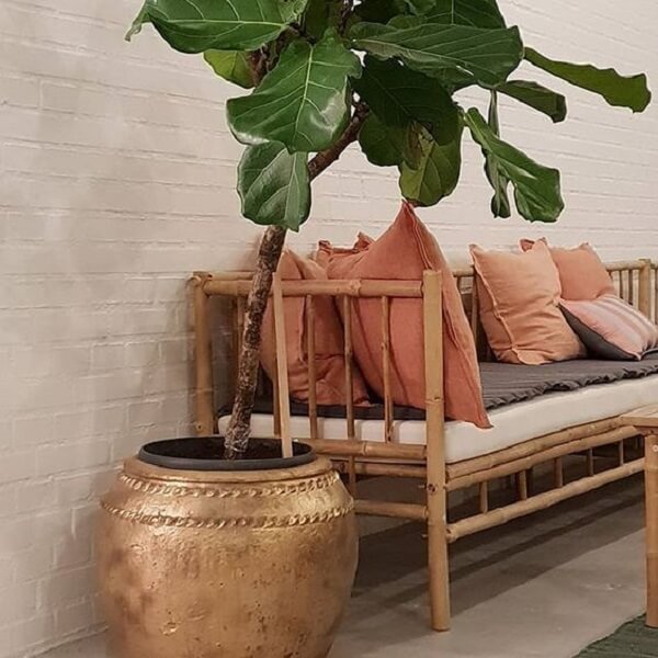 Vaso de planta e sofá de bambu para sala