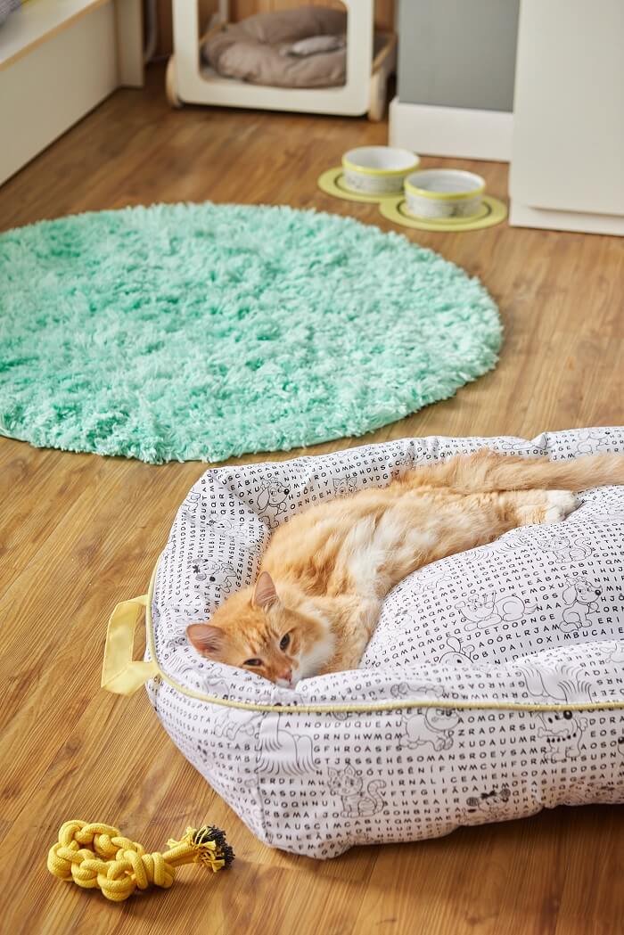  Tapetes ou carpetes: se você tem animais domésticos ou filhos pequenos em casa, o tapete pode ser a melhor escolha