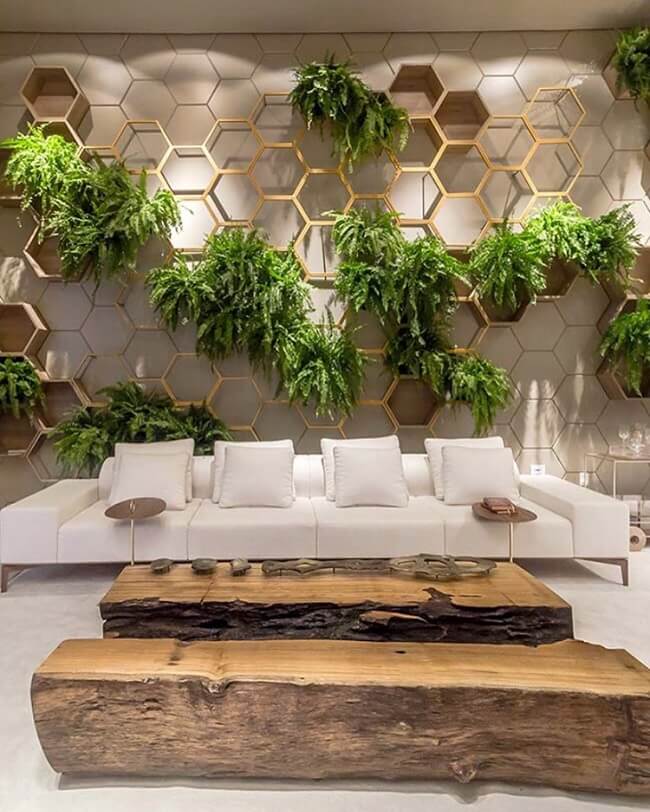 A planta samambaia americana na parede se torna uma linda obra de arte