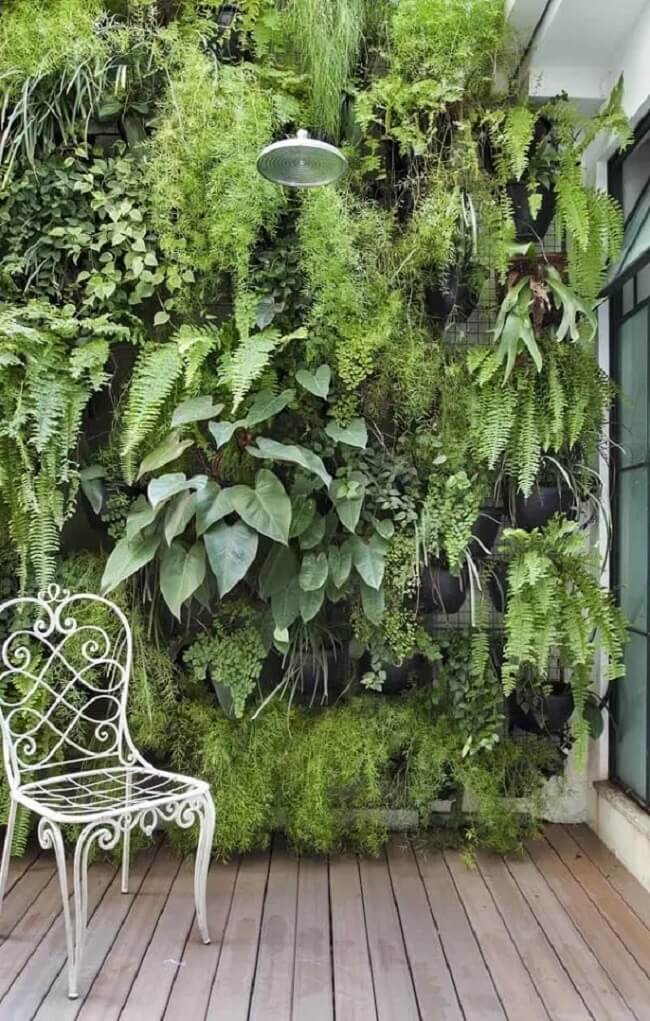 Jardim vertical com samambaia americana e plantas diversas