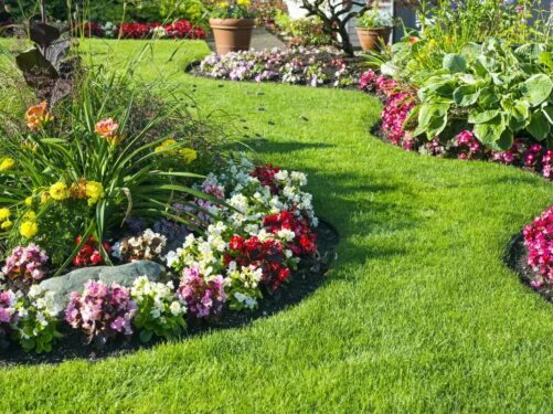 Plantas com flores que alegram o paisagismo do jardim. Fonte: Portal Vida Livre